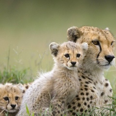 Татьяна Панченко, 04.01.1978