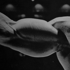 Григорий Πривалов, 01.02.1985