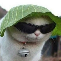 Александр Важельский, 29.04, Санкт-Петербург