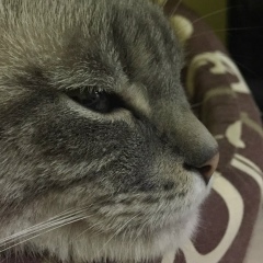 Юрий Гагарин, 18.01.1988, Днепр (Днепропетровск)