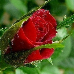 Юлия Егорова, 12.05, Астана