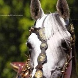 Айдар Тиналиев, Талдыкорган