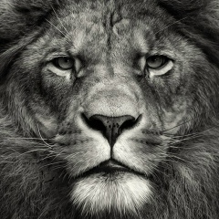 Карен Казарян, 15.12.1987, Москва