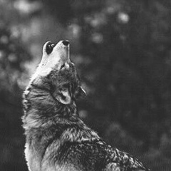 Амина Дибирова, 14.09.1902, Грозный