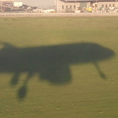 Алексей Шацков, 30.11.1963, Санкт-Петербург