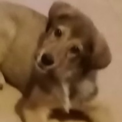 Настя Заговельева, 31.05.1993, Мирный