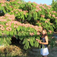 Алёна Доронина, 11.04, Москва