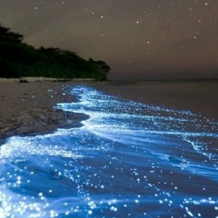 Ольга Кусакина, 27.09, Санкт-Петербург