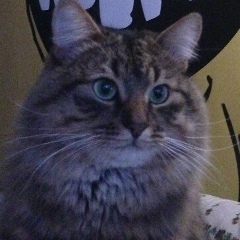 Рома Сухоруков, 20.05.1998, Москва