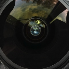 Евгений Васильев, 31.10, Санкт-Петербург