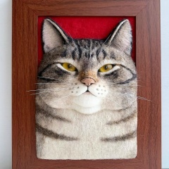 Елена Чуракова, 27.11