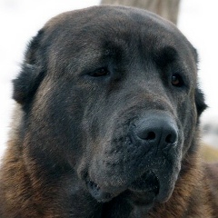 Закир Дюсенов, 04.06.1978, Атырау