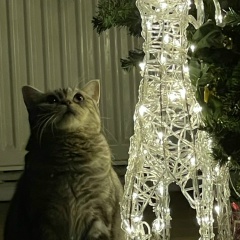 Ариночка Игоревна, 19.02, Москва