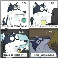 Анастасия Исаева