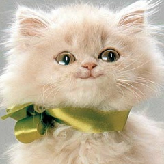 Владислава Куликова, Херсон