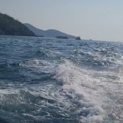 Аня Ши, Воронеж