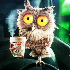 Ольга Матвеева, 16.11, Москва