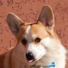 Серега Давруков, 01.11, Москва