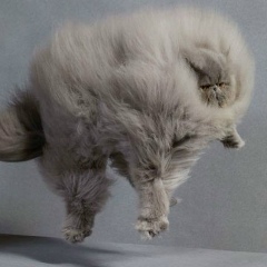 Денис Танчук, 04.12.1987