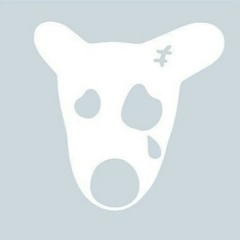 Дмитрий Соколов, Челябинск