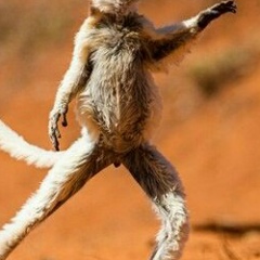 Ильнур Ахметов, 06.08.1987, Казань