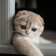 Андрей Сайпушев, 10.10.1990