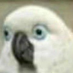 Аня Колосова, 13.12, Москва