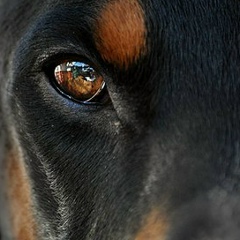 Олег Гузеев, 05.01.1990, Белгород