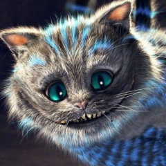 Alex Shubert-M-Shu, 25.07.1986, Санкт-Петербург