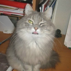 Игорь Майборода, 26.02.1997, Стерлитамак