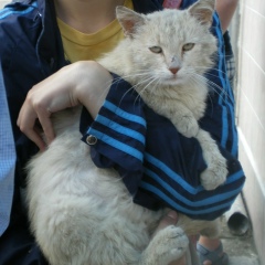 Галина Снігур, 26.11.1990, Луцк