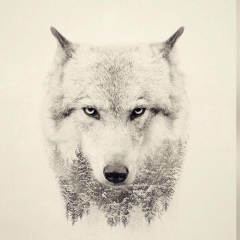 Ермек Байбакушев, 21.12.1982, Алматы