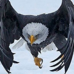 Несипбек Нуридинов, 03.08, Тюлькубас