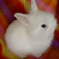 Катюша Лопатина, 27.09.1989, Киров