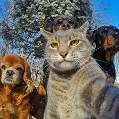 Olecram Agarb, 31.03