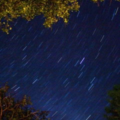 Аревик Курегян, 22.04.1986, Иркутск