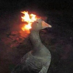 Олег Золотарёв, 05.01.2000, Пермь