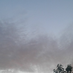 Adam Zakriev, 12.08.1987