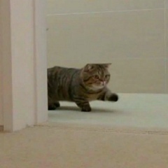 Жадыра Темірханова