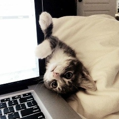 Светлана Владимировна, 10.02, Санкт-Петербург