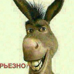 Рашид Алибеков, 27.11.1990, Кизилюрт