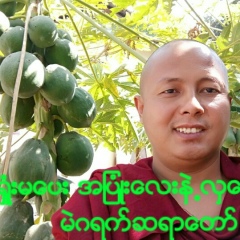 မဲဂရက္ဆရာေတာ္ မဲဂရက္ဆရာေတာ္, 01.10.1984