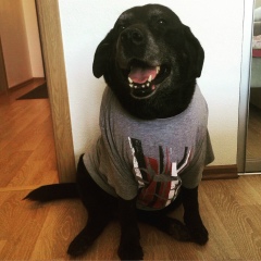 Dina Prudens, 31.01, Санкт-Петербург