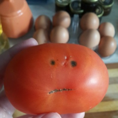 Катерина Трунёва, 22.11, Красногорск