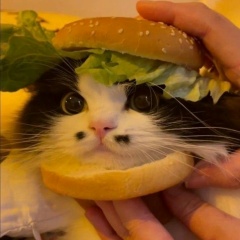 Марина Новичкова, 04.07.1993, Москва