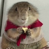 Михаил Машковцев, 20.04.1983, Киров