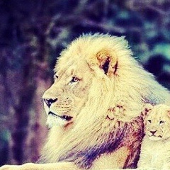 Jenya Ххх, 13.03, Ростов-на-Дону