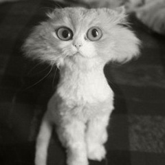 Илья Сильванович, 14.03