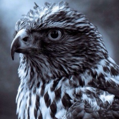 Iliyas Zhumabekov, 08.04, Актобе