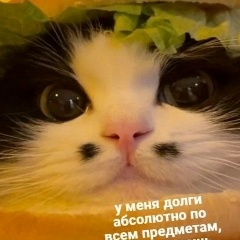 Дима Сергеев, 08.09, Пенза